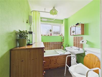 Picture 14